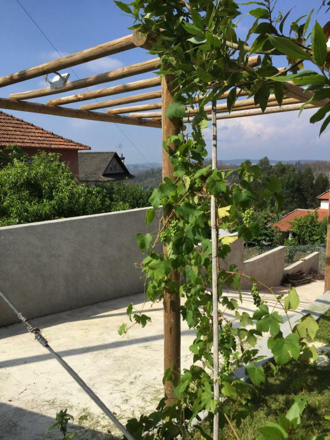 Vale Coelhos Casa De Campo Sarnadela Buitenkant foto